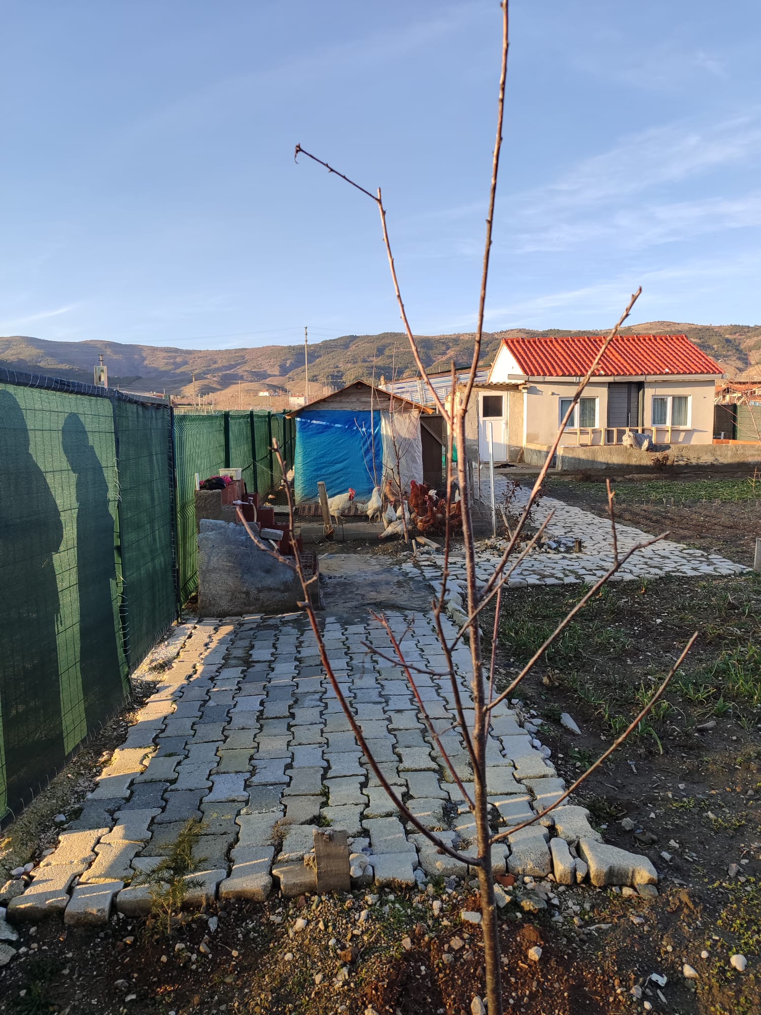 MABEL'DEN SATILIK BAĞ EVİ